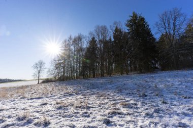 Mart 'ta kurak orman