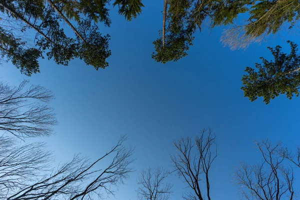 Landschaft Für Das Frühlingserwachen — Stockfoto