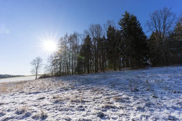 Mart 'ta kurak orman