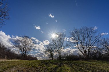 Bahar ayininde manzara