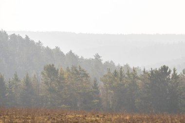 Bahar ayininde manzara