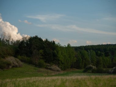 Yaz mevsiminde manzara