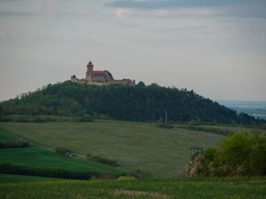 Türünün tek örneği.