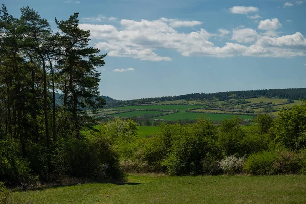 Landschap Het Zomerseizoen — Stockfoto