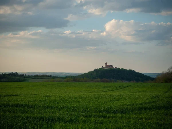 Einer Von Dreien — Stockfoto