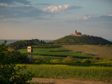 Türünün tek örneği.