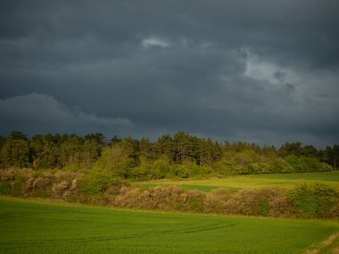 Yaz mevsiminde manzara