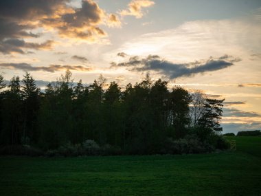 Yaz mevsiminde manzara