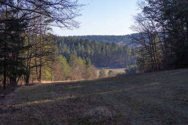 Yaz mevsiminde manzara