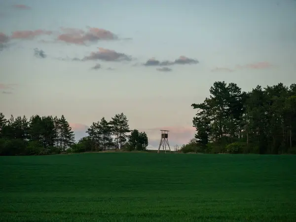 Paisagem Temporada Verão — Fotografia de Stock