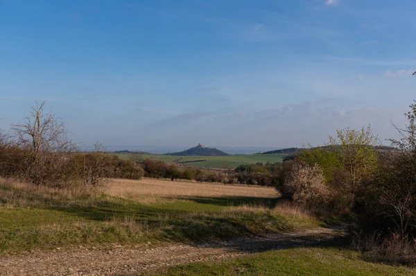 Landschap Het Zomerseizoen — Stockfoto