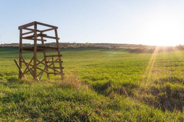 Yaz mevsiminde manzara