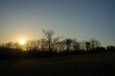 Yaz mevsiminde manzara