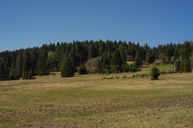 Yaz mevsiminde manzara