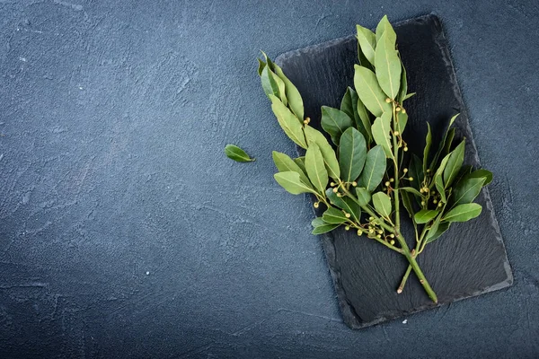 culinary background with laurel leaves   on a dark stone  table