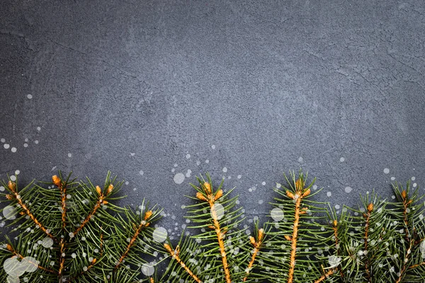 Christmas Fir Tree Branches Dark Background — Stock Photo, Image