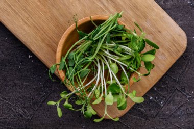 Tahta kasede taze mikroçerezler. Genç bitkiler, filizler ve filizler..