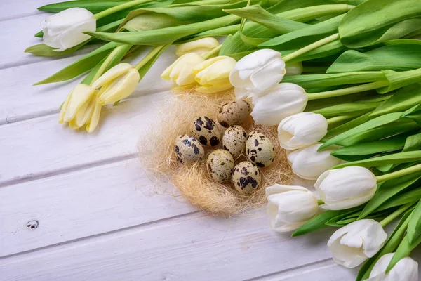 Easter Eggs Tulips White Background — Stock Photo, Image