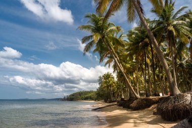 Güzel sahil, güneş ışığında turkuaz deniz, Phu Quoc Adası, Vietnam.