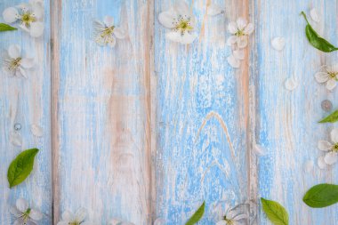 Baharda kiraz çiçekleri ahşap arka planda