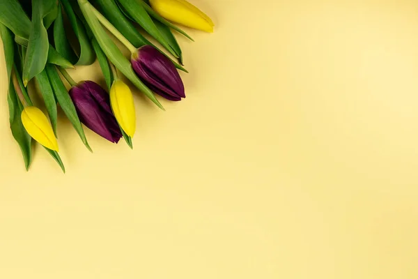 Boeket Van Lente Gele Paarse Tulpen Gele Achtergrond Bovenaanzicht Voor — Stockfoto