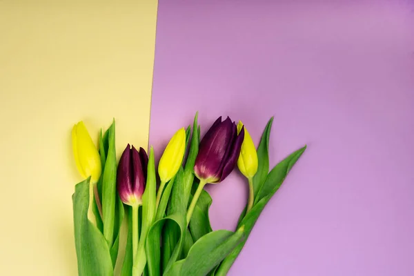 Букет Весенне Желтых Фиолетовых Тюльпанов Желтом Фоне Вид Сверху День — стоковое фото