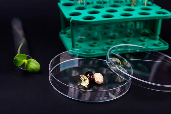 Roślina Zmodyfikowana Genetycznie Testowane Laboratorium Biotechnologiczne Farmacologia Badania — Zdjęcie stockowe