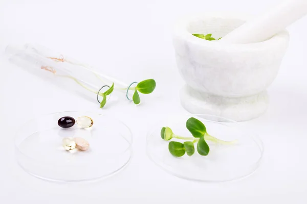 Genetically Modified Plant Tested Biotechnological Laboratory Farmacology Testing — Stock Photo, Image