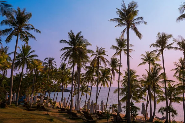 Beautiful beach with palms at sunset in Phu Quoc, Vietnam