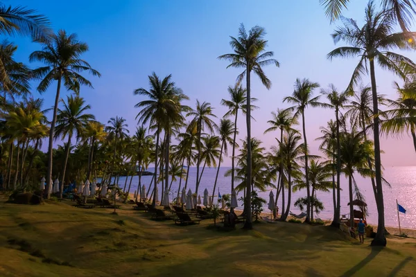 Bela Praia Com Palmeiras Pôr Sol Phu Quoc Vietnã — Fotografia de Stock