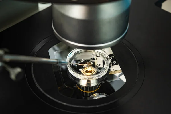 Microscopio Processo Fecondazione Vitro Vicino Processo Inseminazione Artificiale Nella Clinica — Foto Stock