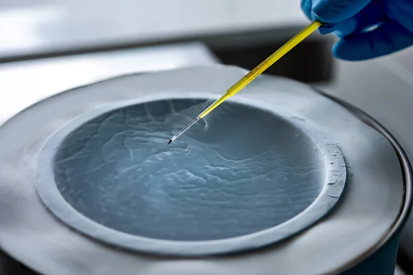 液氮试管的低温保存 一种含精子和卵子的液氮库 — 图库照片