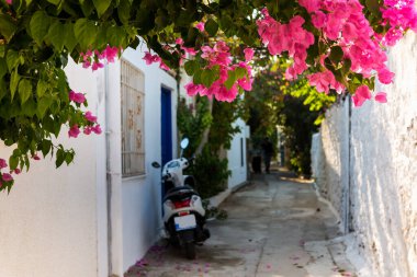 Bodrum, Türkiye 'de renkli bir cadde. Bodrum 'da geleneksel sokak ve begonvil çiçekleri