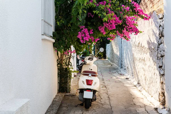 Strada Colorata Bodrum Turchia Strada Tradizionale Fiori Bouganville Bodrum — Foto Stock