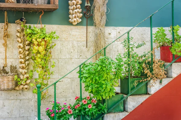 Tipico Patio Greco Grecia Kos Patio Con Vasi Fiori — Foto Stock