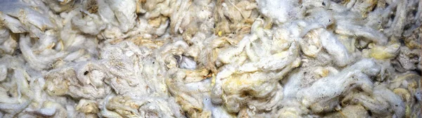 Nahaufnahme von ungewaschener roher Schafwolle in natürlicher Farbe — Stockfoto