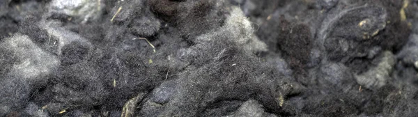 Zbliżenie Nieumyta Surowa wełna owcza w kolorze naturalnym — Zdjęcie stockowe