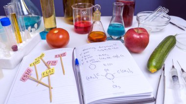 İş yeri laboratuvar asistanı üst görünümü. Gıda güvenliği laboratuarı prosedürü, marketteki meyvelerin analizi. Not defteri ve mavi kalem laboratuvar masasında. Peynirin içinde kod E takviyeli işaretler var..