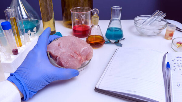 Quality control expert inspecting at meat products in the laboratory