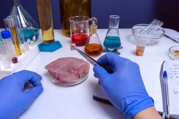 Especialista em segurança alimentar inspecionando carne vermelha em laboratório — Fotografia de Stock