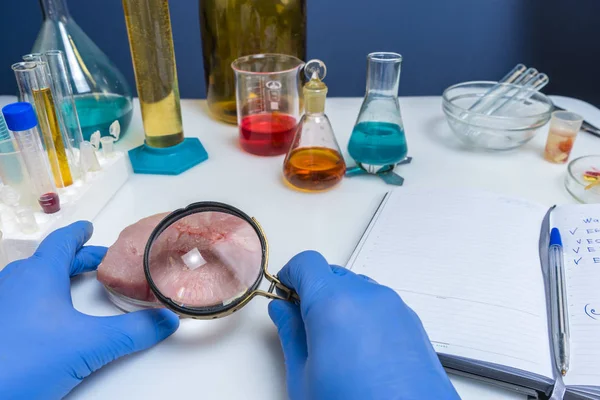 Especialista em segurança alimentar inspecionando carne vermelha em laboratório — Fotografia de Stock