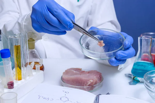 Experto en seguridad alimentaria inspeccionando carne roja en laboratorio — Foto de Stock