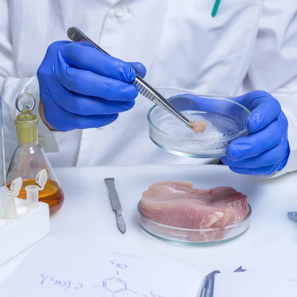 Perito em controlo de qualidade em produtos à base de carne no laboratório — Fotografia de Stock