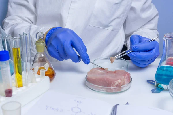 Quality control expert inspecting at meat products in the laboratory