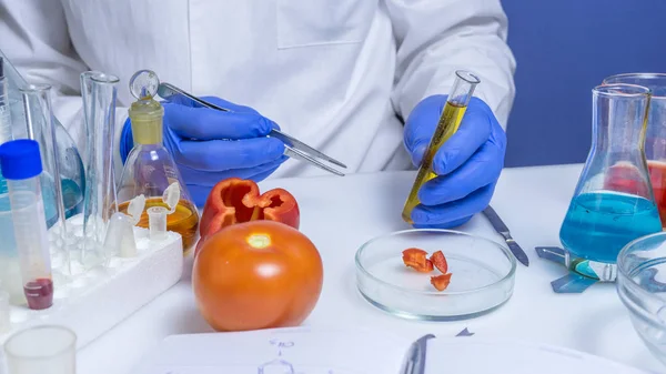 Bir laboratuvarda çalışan kalite kontrol gıda güvenlik müfettişi