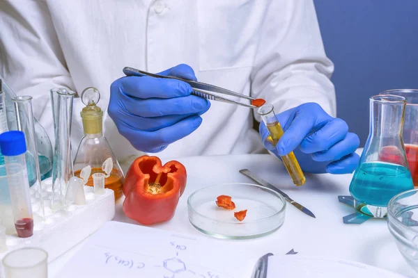 Control de calidad inspector de seguridad alimentaria que trabaja en un laboratorio — Foto de Stock