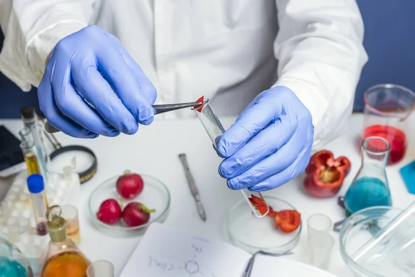 Expert en sécurité alimentaire vérifiant le poivron rouge en laboratoire. Gros plan . — Photo