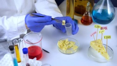 Gıda güvenliği laboratuvarı, bilim adamı konsepti. Müfettiş, laboratuardaki bir dükkandan peyniri inceliyor..