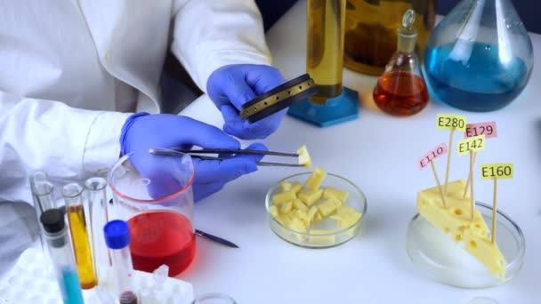 Food Safety Laboratory Scientist Concept Inspector Examines Cheese Store Laboratory — 비디오