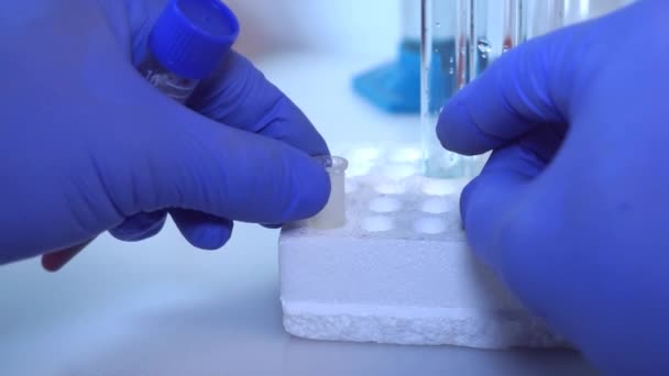 Doctor Doing Blood Sample Test Coronavirus 2019 Ncov Concept New — Stock Video